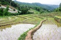 Rice field terraces in doi inthanon, Ban Sob Aeb Chiangmai Thai