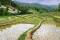 Rice field terraces in doi inthanon, Ban Sob Aeb Chiangmai Thailand