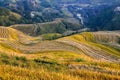 Rice field terraces, Longsheng, Hunan, China Royalty Free Stock Photo