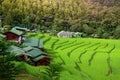 Rice field terraces at Mae Klang Luang, Homestay Chiangmai, Thailand