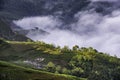 Rice field terraces in the clouds. Sapa, Lao Cai Province, north-west Vietna