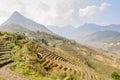 Rice field terraces