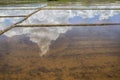 Rice field in Thailand with overcast cloudy sky reflected on water Royalty Free Stock Photo