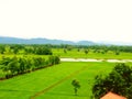 Rice Field in Thailand