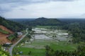 Rice Field View in Payakumbuh West Sumatera Royalty Free Stock Photo
