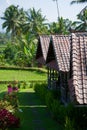 Rice field village Royalty Free Stock Photo