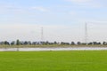 Rice field white cloud blusky Royalty Free Stock Photo