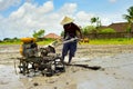 Rice field worker. Bali, Indonesia Royalty Free Stock Photo