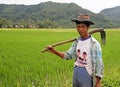 Rice Field Worker in the Harau Valley in West Sumatra, Indonesia Royalty Free Stock Photo