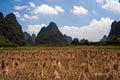 Rice Field in Yangshuo Royalty Free Stock Photo