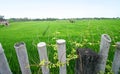 Rice fields, Bali scenic landscape, asia Royalty Free Stock Photo