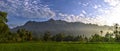 Rice Fields Below The Hill in the Morning Royalty Free Stock Photo