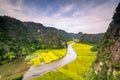 Rice fields in the early morning at Tam Coc, Ninh Binh, Vietnam Royalty Free Stock Photo