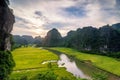 Rice fields in the early morning at Tam Coc, Ninh Binh, Vietnam Royalty Free Stock Photo