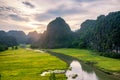 Rice fields in the early morning at Tam Coc, Ninh Binh, Vietnam Royalty Free Stock Photo