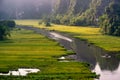 Rice fields in the early morning at Tam Coc, Ninh Binh, Vietnam Royalty Free Stock Photo