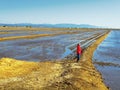 Rice fields in the Ebro Delta, Tarragona, Spain