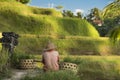 Rice fields and farmers. Ubud, Bali, Indonesia.