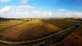 The rice fields are golden in the autumn afternoon Royalty Free Stock Photo