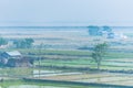 Rice fields in India, Assam near Brahmaputra river