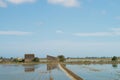 Rice fields landcape Royalty Free Stock Photo