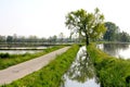 Rice fields in Lomellina, Italy Royalty Free Stock Photo