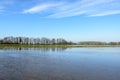 Rice fields Lomellina (Italy) Royalty Free Stock Photo