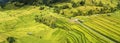 Rice fields on the mountain aerial panorama view Royalty Free Stock Photo