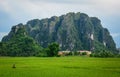 Rice fields with mountain background in Hanoi, Vietnam Royalty Free Stock Photo