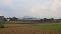 rice fields with a mountain background. village atmosphere.