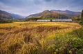 Rice fields in Korea and mountains in autumn Royalty Free Stock Photo