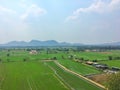 Rice fields and mountains background