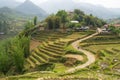 Rice fields in mountains in Sa Pa, north Vietnam. Royalty Free Stock Photo