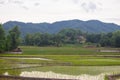 Rice fields, mountains, sky soft and blur Royalty Free Stock Photo