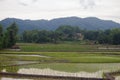 Rice fields, mountains, sky soft and blur Royalty Free Stock Photo