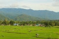 Rice fields, mountains, sky soft and blur Royalty Free Stock Photo