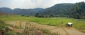 Rice fields in myanmar