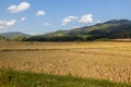 Rice fields near Luang Namtha town, La Royalty Free Stock Photo