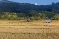 Rice fields near Luang Namtha town, La Royalty Free Stock Photo