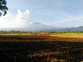 Rice fields near Mount Ciremai, West Java, Indonesia Royalty Free Stock Photo