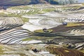 Rice fields in north Vietnam Royalty Free Stock Photo