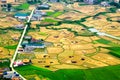 Rice fields in Northwest of Vietnam