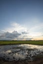 Rice fields rice paddyÃ¢â¬â¢s damaged by heavy rain and flooding causing damage and crop loss Royalty Free Stock Photo