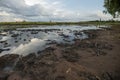 Rice fields rice paddyÃ¢â¬â¢s damaged by heavy rain and flooding causing damage and crop loss Royalty Free Stock Photo