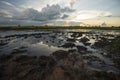 Rice fields rice paddyÃ¢â¬â¢s damaged by heavy rain and flooding causing damage and crop loss Royalty Free Stock Photo