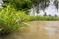 Rice fields rice paddyÃ¢â¬â¢s damaged by heavy rain and flooding causing damage and crop loss Royalty Free Stock Photo