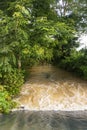 Rice fields rice paddyÃ¢â¬â¢s damaged by heavy rain and flooding causing damage and crop loss Royalty Free Stock Photo