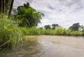 Rice fields rice paddyÃ¢â¬â¢s damaged by heavy rain and flooding causing damage and crop loss Royalty Free Stock Photo