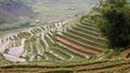 Rice fields in Sapa Valley in Vietnam