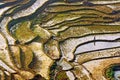 rice Fields Sapa, Vietnam Royalty Free Stock Photo